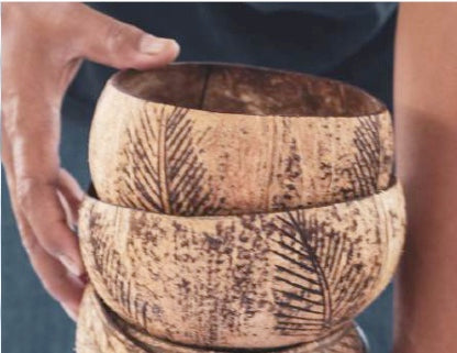Handcrafted Coconut bowl - Palm Collection
